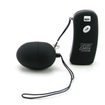 Waterproof 7 Function Egg with Wireless Remote