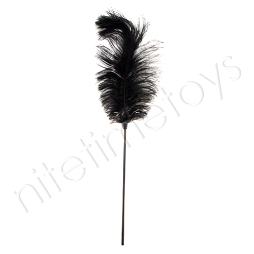 Fetish Fantasy Feather Plume - Click Image to Close